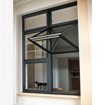 Fenêtres à double volet personnalisées contemporaines en verre en aluminium